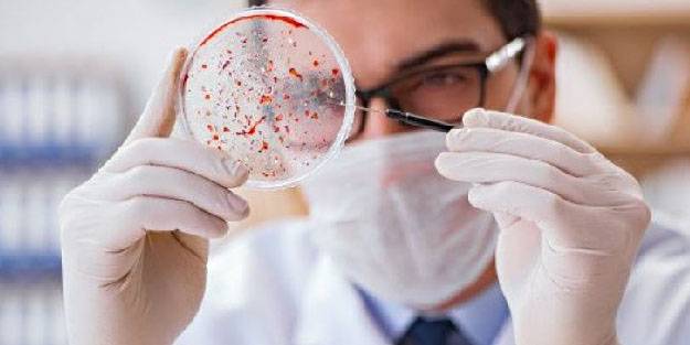 Bu besinler vücuttaki tüm iltihabı atıyor!