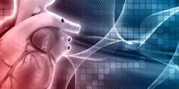 Bu besinleri evinizden eksik etmeyin! 4 saatte vücutta temizlik sağlıyor