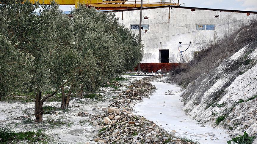 Bu beyaz örtü meğer kar değilmiş!