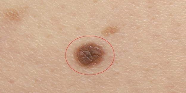 Bu şaşırtıcı bilgilerin çoğunu ilk kez duyacaksınız!