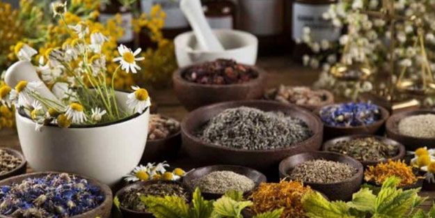 Bu bitkilerin bir tek ölüme çaresi yok! İşte şifa kaynağı bitkiler