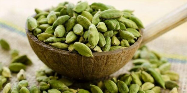 Bu bitkiyi kullanırsanız beyniniz yaşlanmıyor