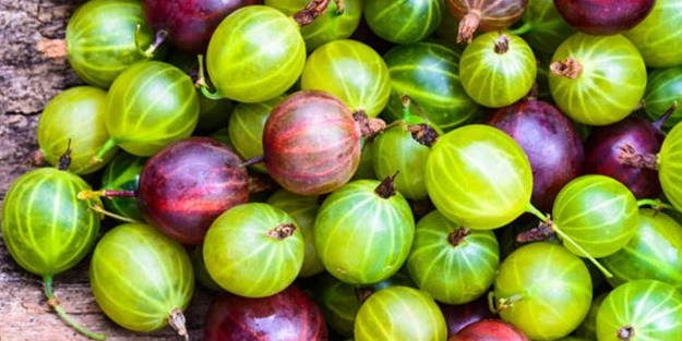 Bu boncuk değil üzüm!