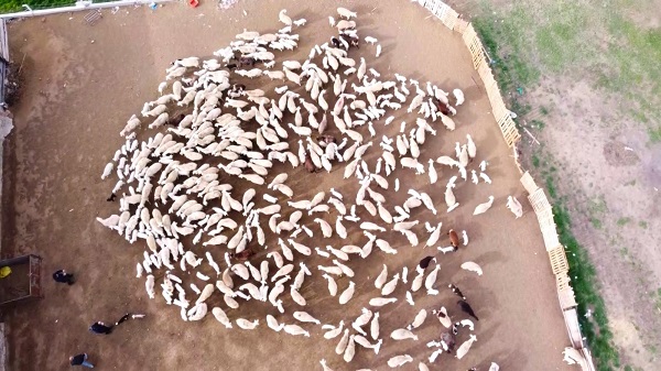 Bu buluşma yüzleri gülümsetti