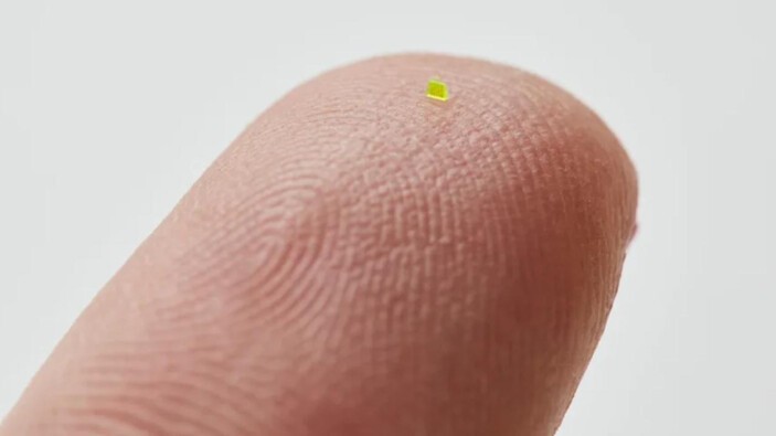 Bu çanta tam tamına 63 bin dolara satıldı