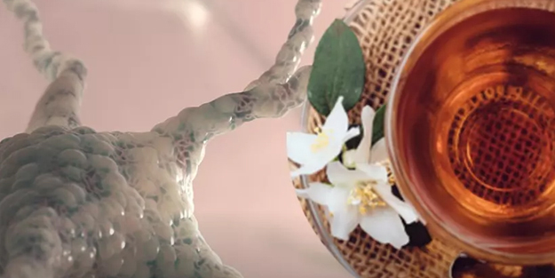 Bu çay beyin hücrelerini yeniliyor: Destek verdi! ihtiyaç sahibi yapsın!