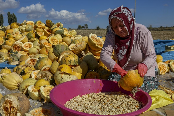 Bu çekirdeğin aroması bambaşka