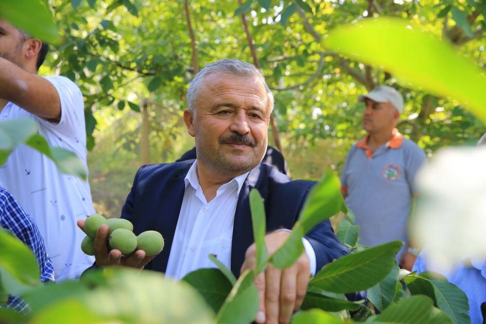 Bu ceviz diğerlerinden çok farklı