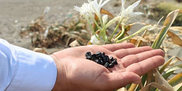 Bu çiçeği koparan yandı! Cezası tam 80 bin TL