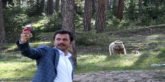 Buda ayı hatırası!