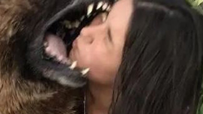 Bu da yapılacak iş mi şimdi! Asi canlı bir anda kafasını kaptı! Sonu felaket oldu