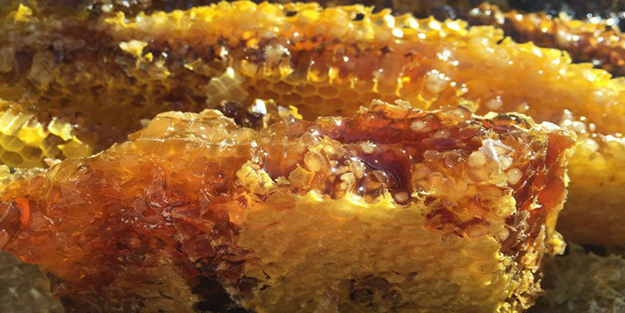 Bu 'Deli Bal' insanlığın ilk kimyasal silahı