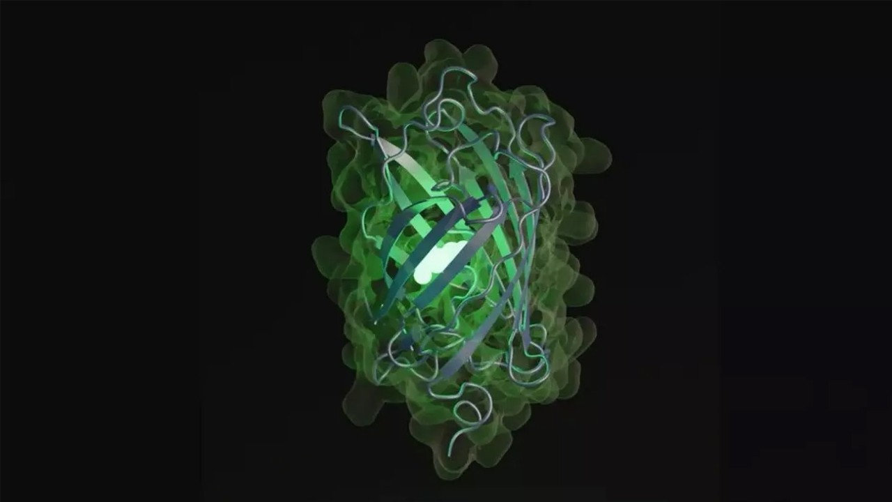 Bu doğru mu? Mümkün mü? Yapay zeka 500 milyon yılda oluşacak bir proteini üretti