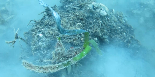 ‘Bu durum içimi acıttı, ağlayacaktım’ 7 Yılda Böyle Yok Oldu