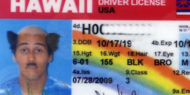 Bu ehliyetlere çok güleceksiniz - FOTO