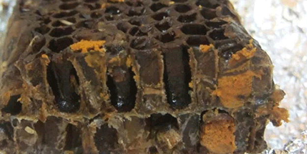 Bu ekmek kolon kanserini önlüyor! Faydalarına inanamayacaksınız