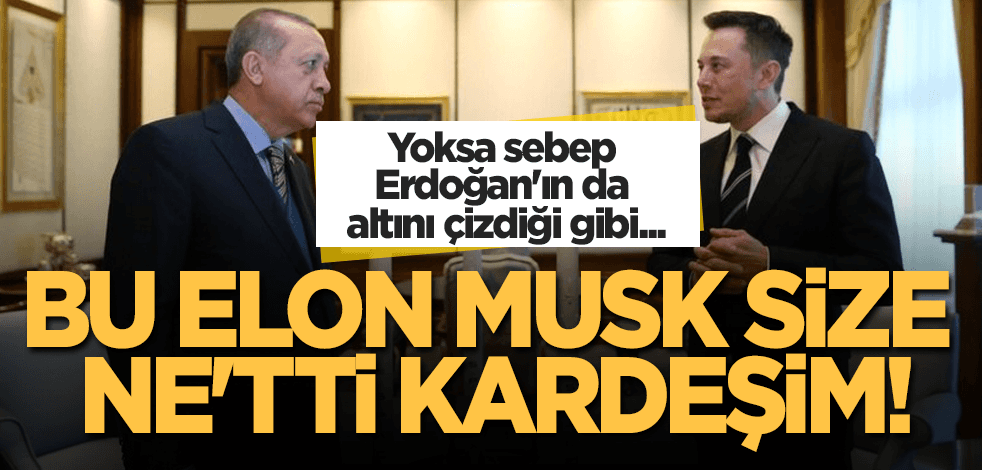 Bu Elon Musk size ne'tti kardeşim!