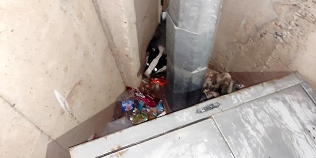Bu fotoğraf Adıyaman'da çekildi
