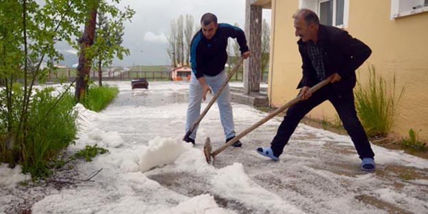 Bu fotoğraf bugün çekildi! Aylardan haziran...