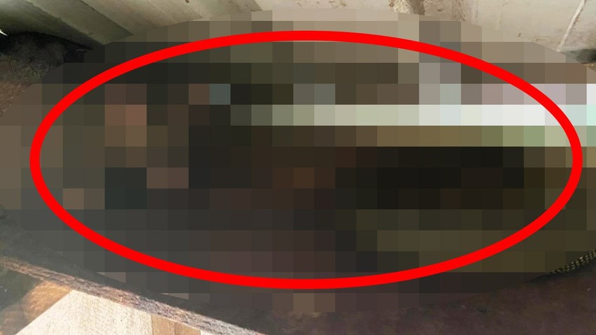 Bu fotoğrafı sosyal medyada görenler gözlerine inanamadı! Aralarında sadece birkaç santim vardı! İşte o hayrete düşüren kare