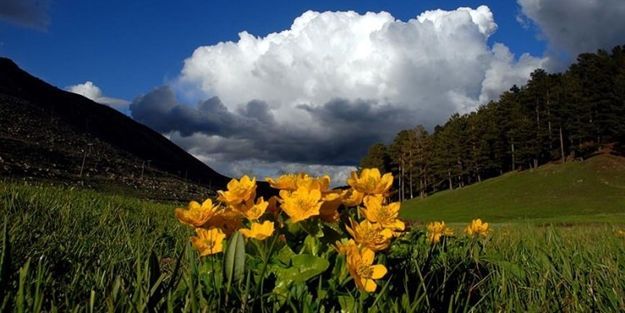 Bu fotoğrafın sonu gelebilir!
