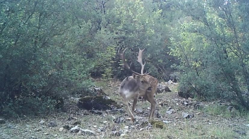 Bu fotoğraflar Isparta'da çekildi