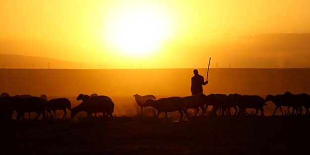Bu fotoğraflar Konya'da çekildi! Gün batımında görsel şölen