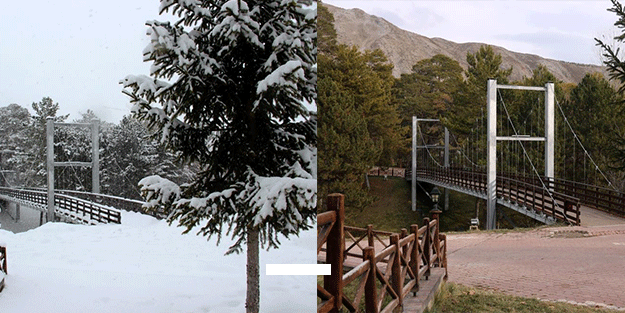 Bu fotoğraflar sadece 1 yıl arayla çekildi! Türkiye'de korkutan manzara