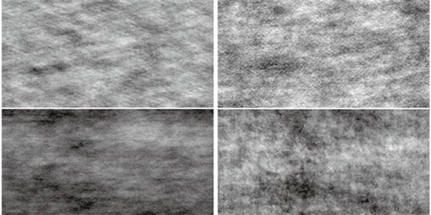 Bu resimdeki gizli hayvanları sadece bilim adamları...