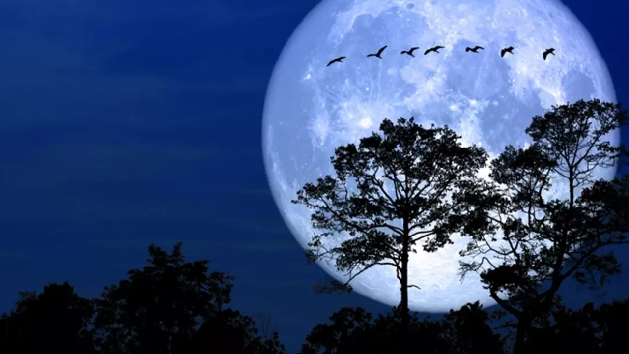 Bu gece çok büyük ve çok parlak olacak!