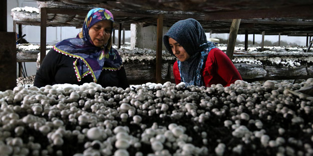 Maşallah dedirten gelin-kaynana!