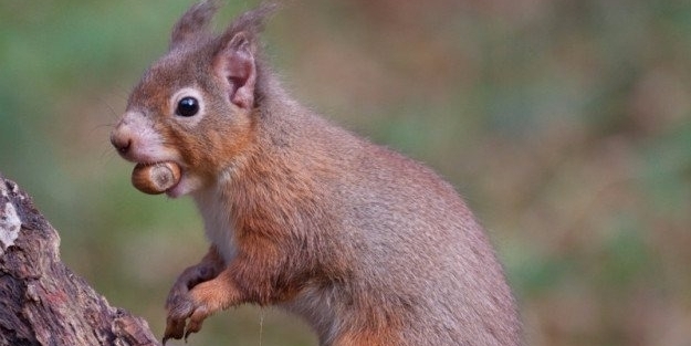 Bu gerçekleri duyunca çok şaşıracaksınız!