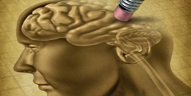 Bu gıdalar hafıza kaybına iyi geliyor