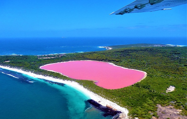 Bu gölün suyu pembe! Sır sonunda çözüldü