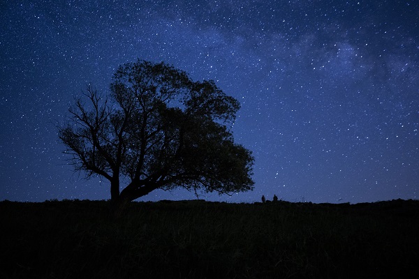 Bu görüntü için çok uzaklara gitmeye gerek yok! Bu kareler Türkiye'de çekildi