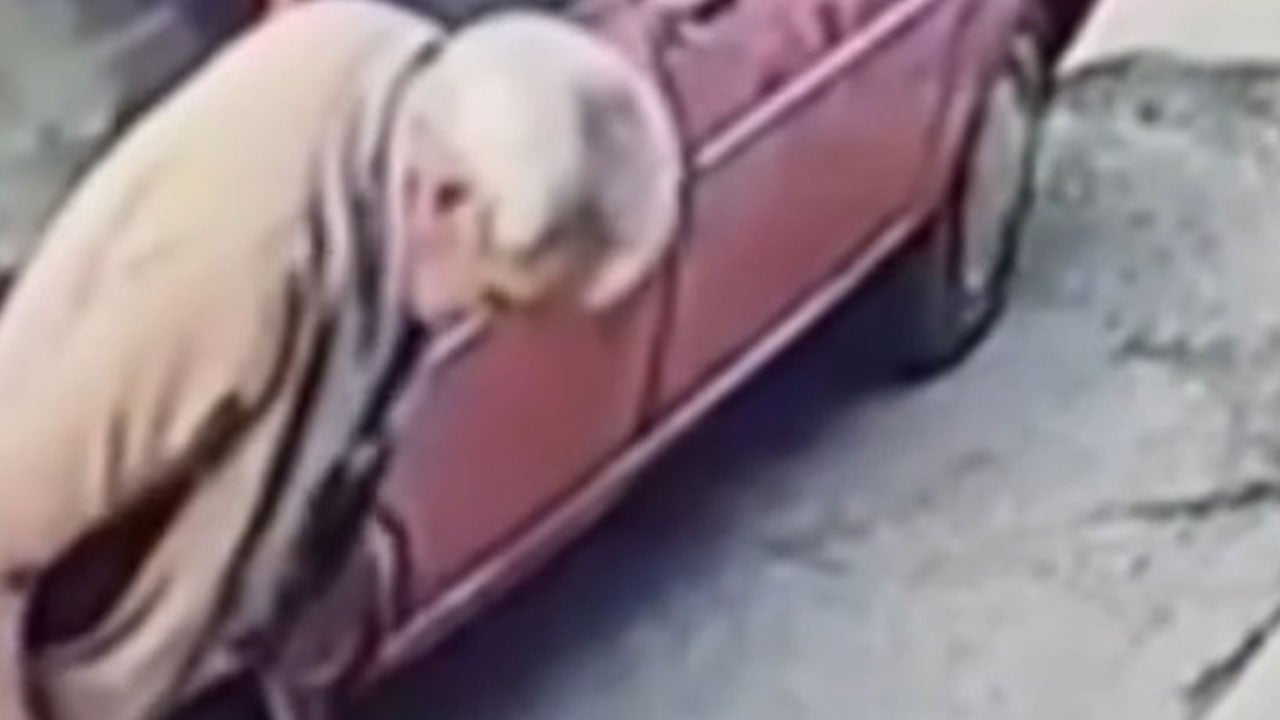 Bu görüntü kalplere dokundu! Çamur bulaşmasın diye ayakkabısını çıkardı