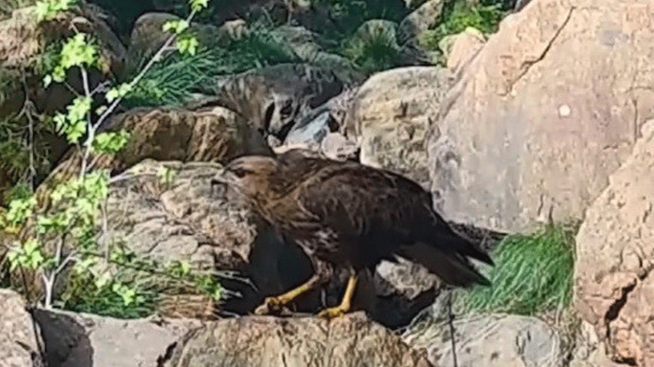 Bu görüntü Muğla'da çekildi!