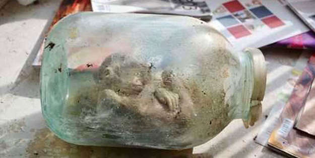 Bu görüntüler ülkeyi ayağa kaldırdı - FOTO