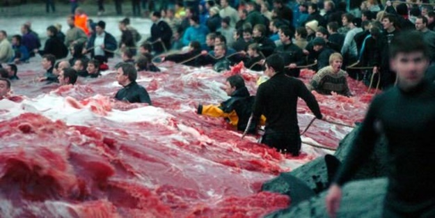 Bu görüntülere vahşet kelimesi az kalır!