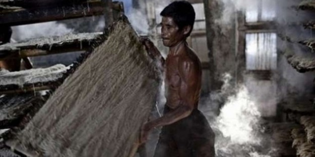 Bu görüntüleri mideniz kaldırmayabilir!