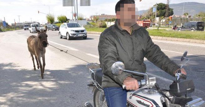 Bu görüntüye 102 lira ceza!