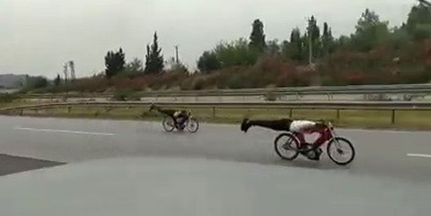 Bu görüntüye 9 bin TL ceza kesildi