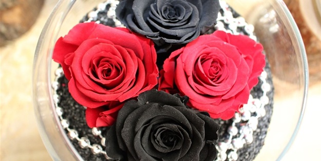 Bu güller 3 sene solmuyor