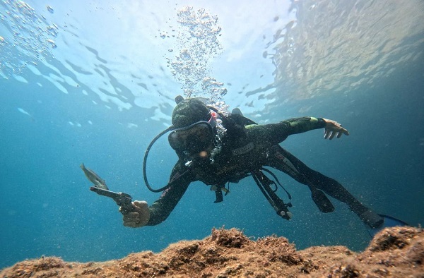  Avrupalılar akın akın geliyor