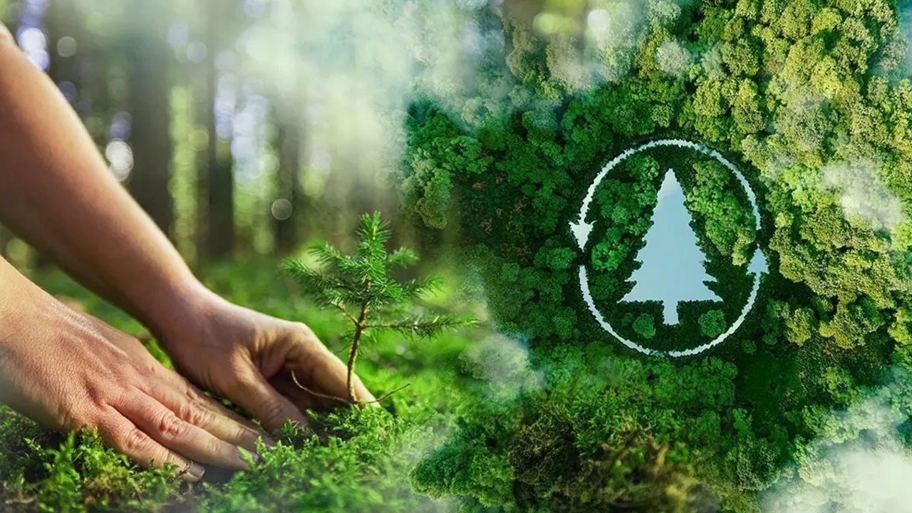 Bu haber Gezi zekalılara kapak olsun! Türkiye yeşile doyacak!