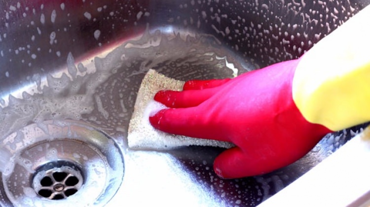 Bu haberden sonra süngeri atacaksınız!