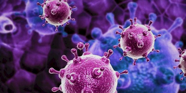 Hükümetler kırmızı alarm verdi! Sorun bu: Salgın ten temasıyla bile yayılıyor