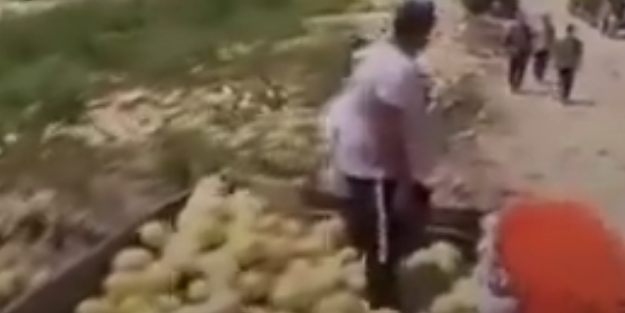 Bu haftanın çöpe atılan meyvesi kavun oldu! Marketlerde fiyatları fahiş görünce şaşırmayın