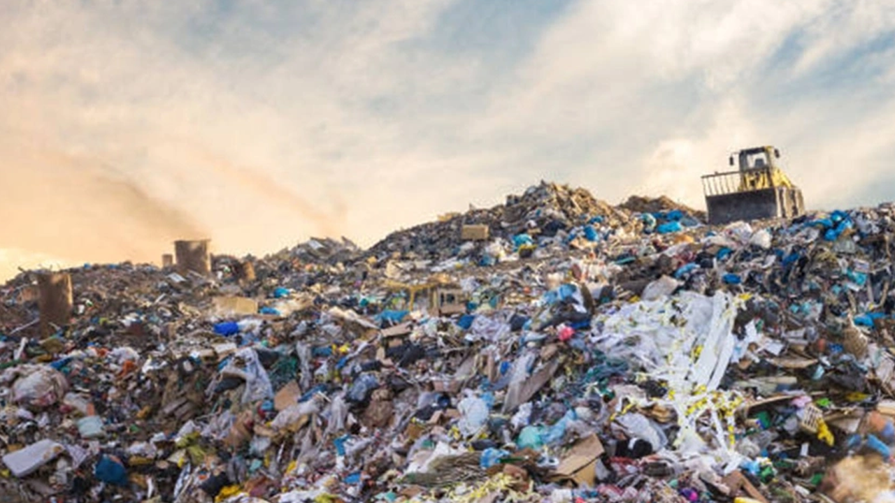 Bu hale nasıl geldik? Şehir çöplüğünde yeni doğmuş bebek cesedi bulundu!