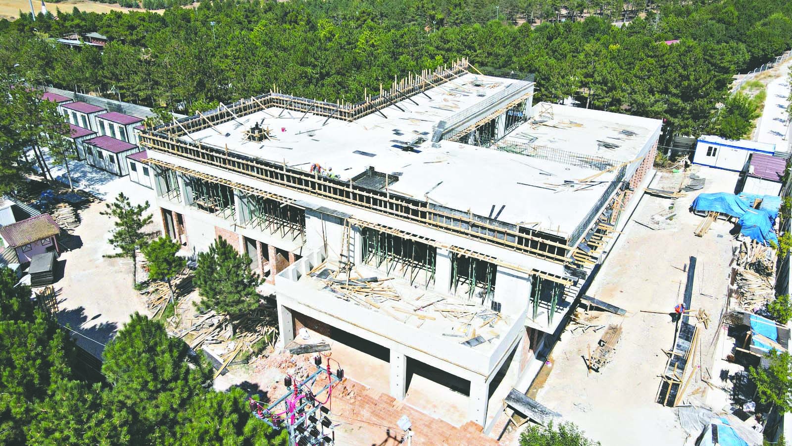 Bu hastane sahipsiz hayvanlara şifa dağıtacak